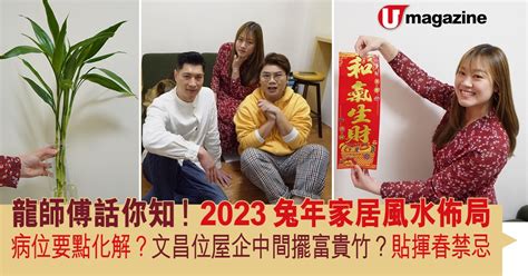 病位 化解 2023|2023兔年家居風水佈局 龍師傅話你知！ 病位要點化。